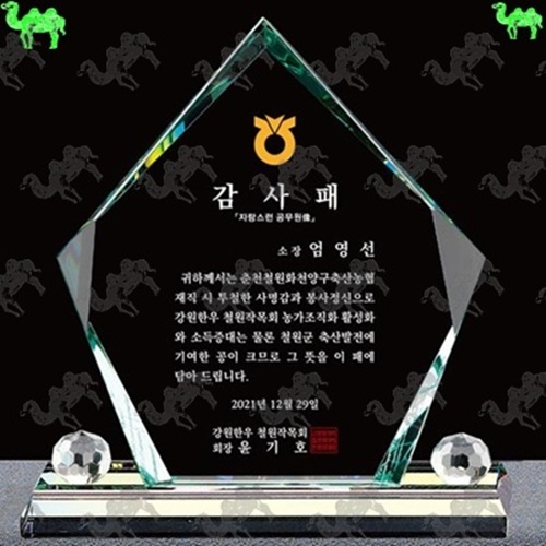 감사패 크리스탈상패 4481
