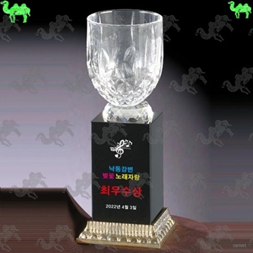 최우수상 크리스탈트로피 5670