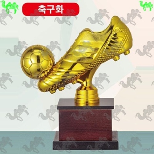 고급 트로피 축구화 7929