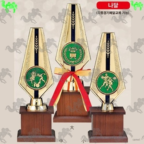 고급 트로피 나달 2579