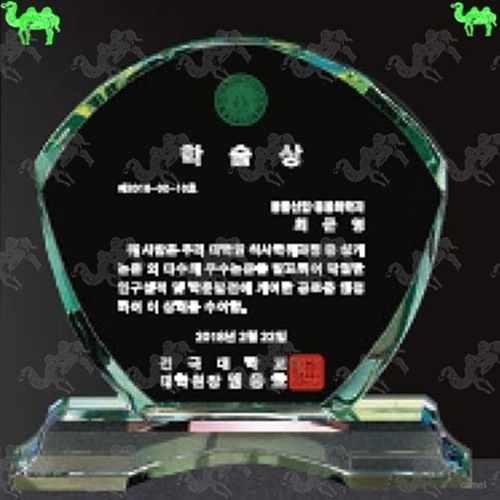 크리스탈상패 3353