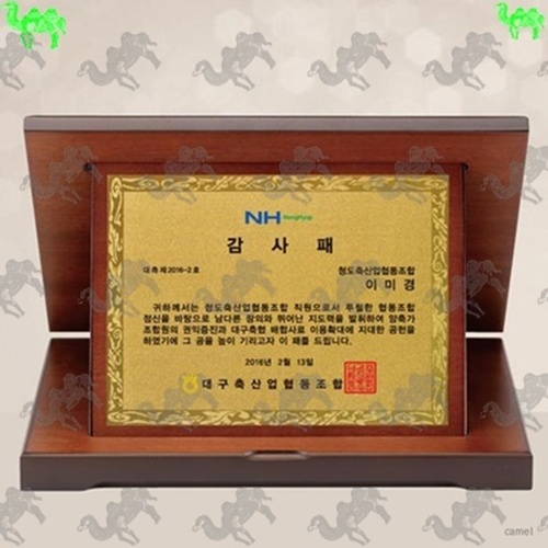 감사패 가리비상패 5602