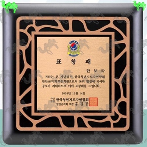 표창패 원목상패 9791