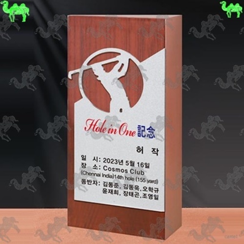 골프대회 홀인원패 통우드 타공.마킹 메탈 골프트로피 5384
