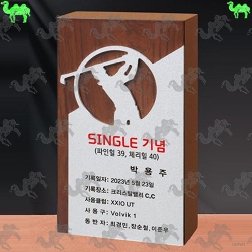 기념패 통우드 타공 마킹 메탈 골프 트로피 5991
