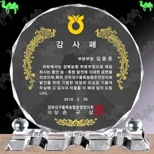 감사패 크리스탈상패 1889